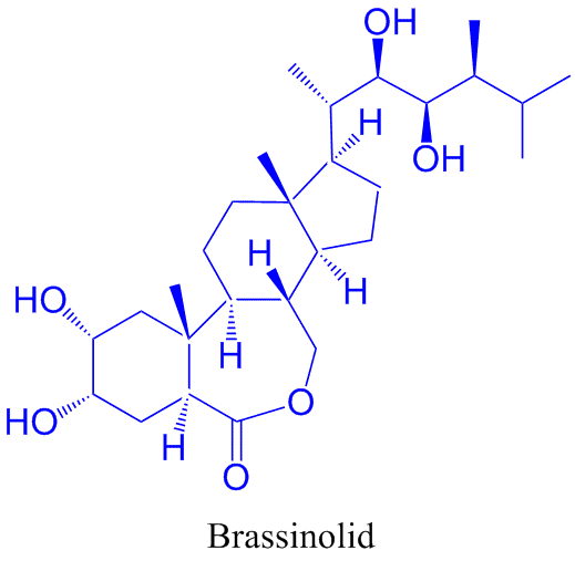Brassinolid