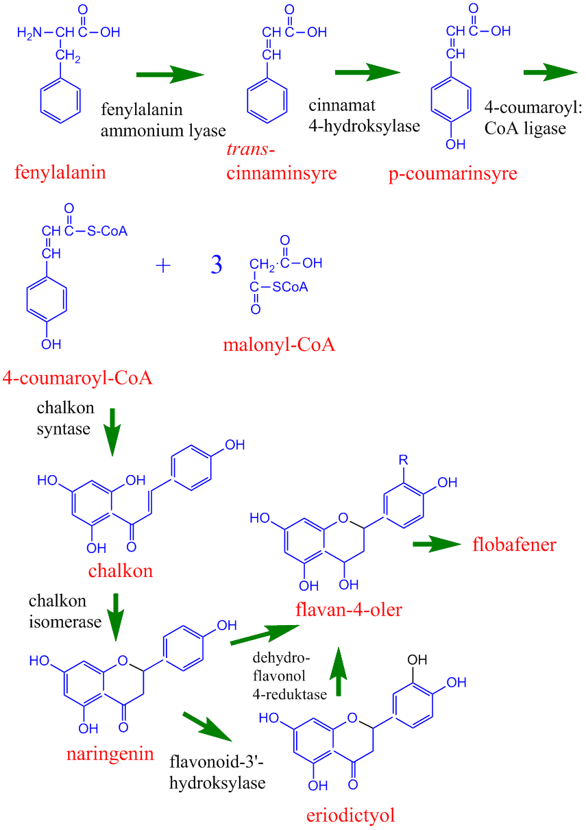 Biosyntese flobafener