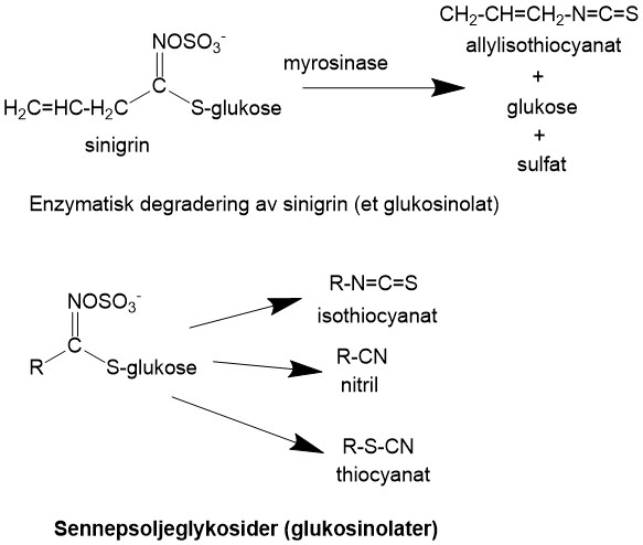 Glukosinolater
