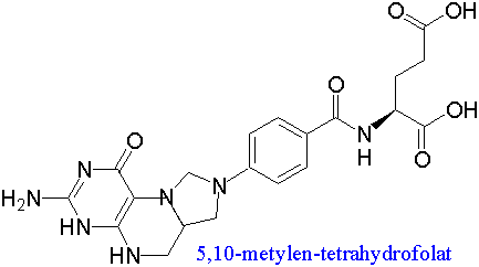 Tetrahydrofolat