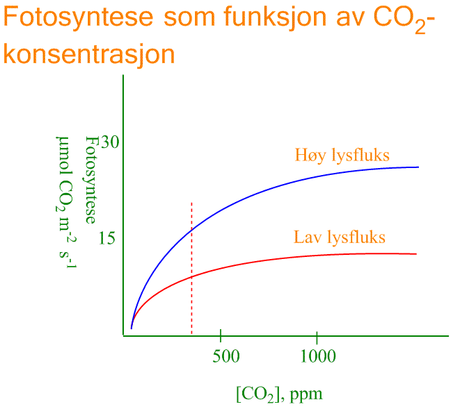Fotosyntese versus CO2-konsentrasjon