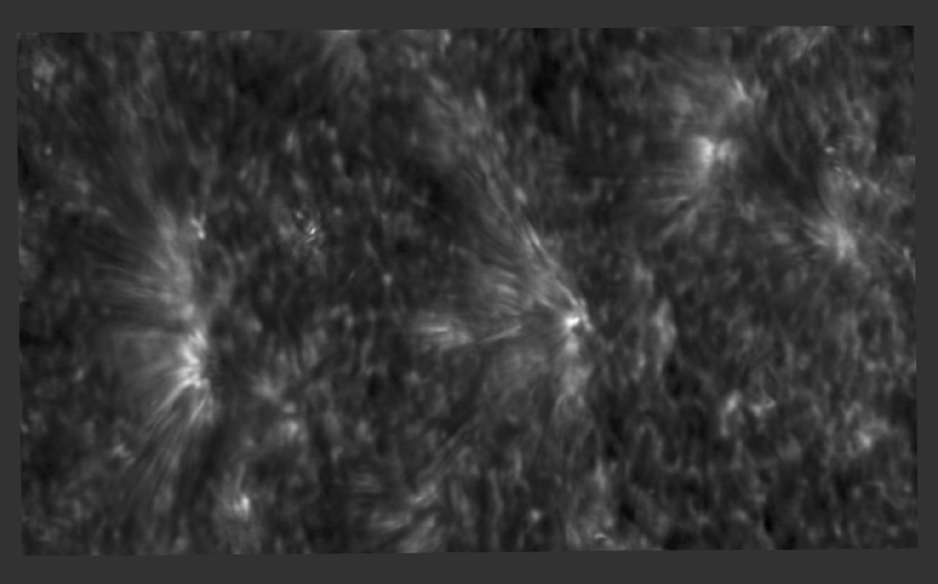 black and white image of the solar spicules