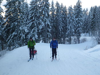 Footwear ,Snow ,Sports equipment ,Tree ,Slope.