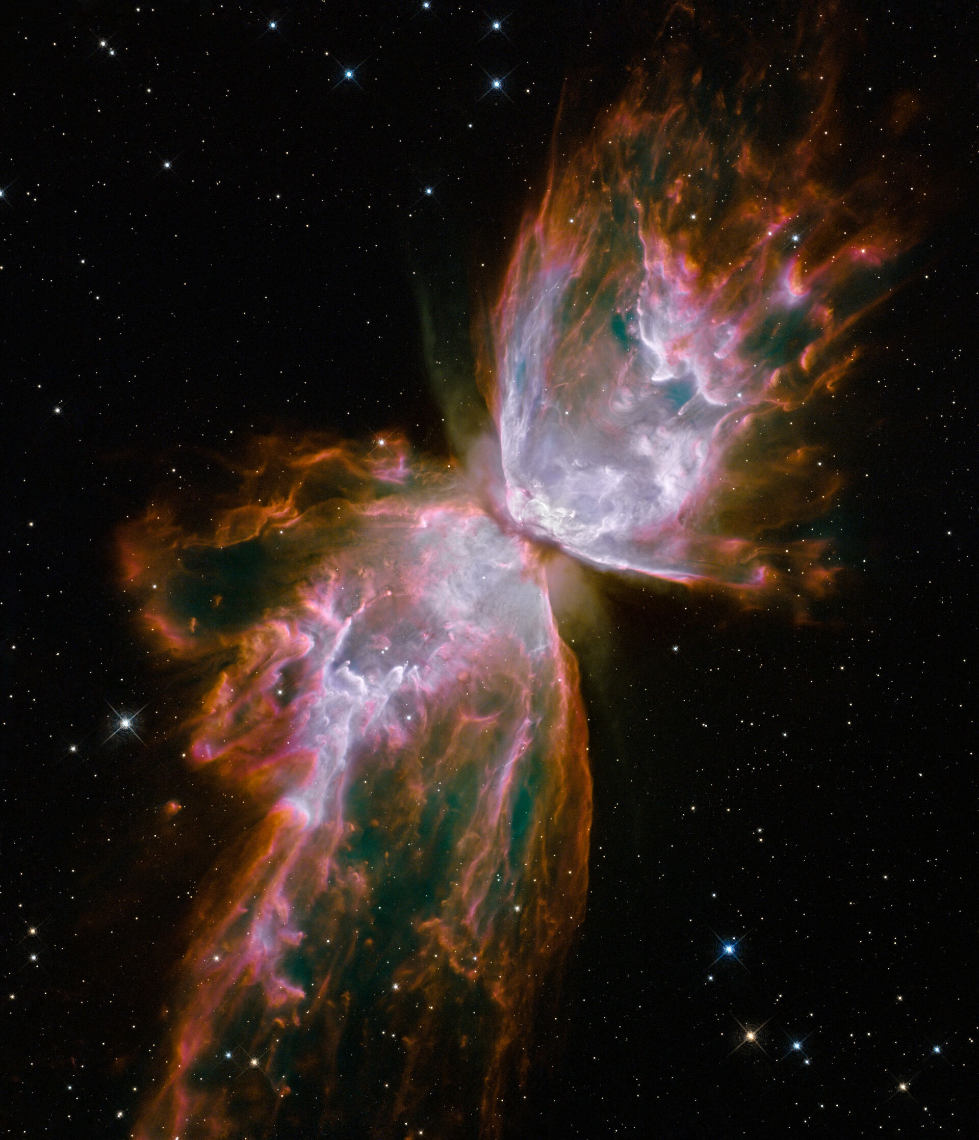 Stellar stream of gas from a huge red giant star, resambles the wings of a butterfly.
