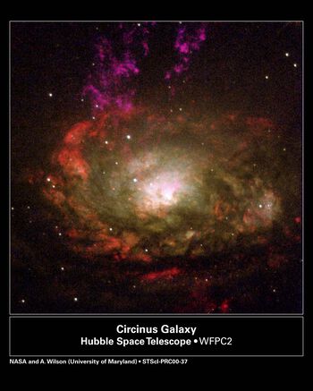 Resembling a swirling witch's cauldron of glowing vapors, the black hole-powered core of a nearby active galaxy appears in this colorful NASA Hubble Space Telescope image. The galaxy lies 13 million light-years away in the southern constellation Circinus.&amp;#160;This galaxy is designated a type 2 Seyfert, a class of mostly spiral galaxies that have compact centers and are believed to contain massive black holes. Seyfert galaxies are themselves part of a larger class of objects called Active Galactic Nuclei or AGN. AGN have the ability to remove gas from the centers of their galaxies by blowing it out into space at phenomenal speeds. Astronomers studying the Circinus galaxy are seeing evidence of a powerful AGN at the center of this galaxy as well.