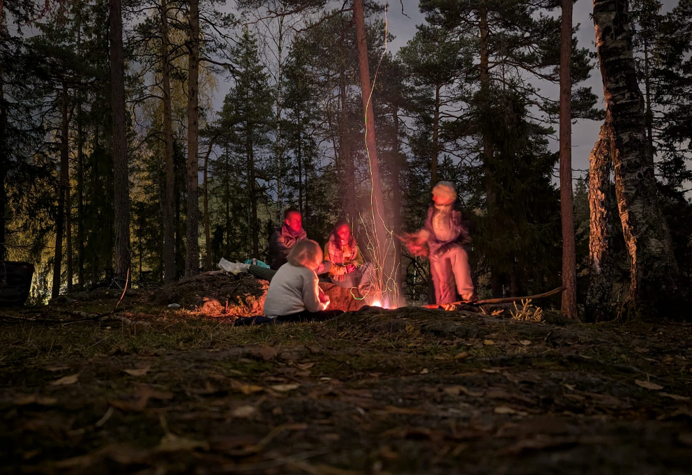 photo of forest, people around a bonfire