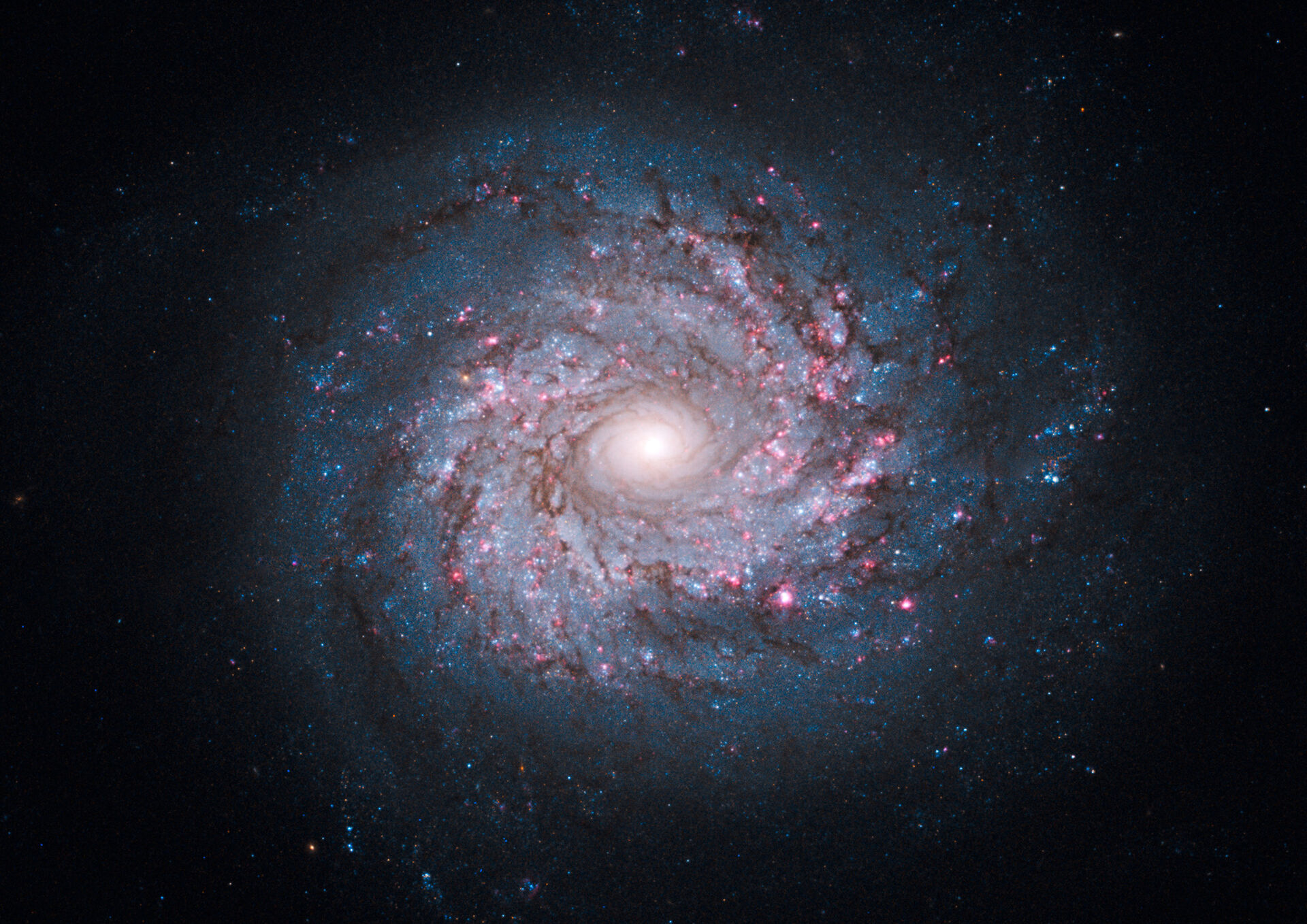 image of a spiral galaxy
