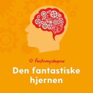 orange banner with illustration of a human brain