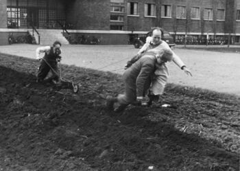 vindu ,bygning ,anlegg ,svart og hvit ,stil.