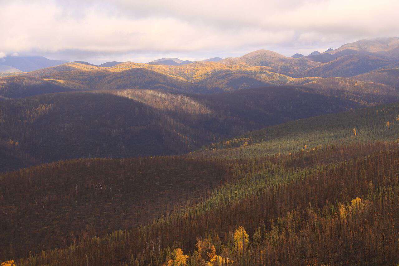 A hilly landscape photo with a partly cloudy sky. The photo appears to be taken from the top of a tall hill and features lower hills to horizon, covered by boreal forest. 
