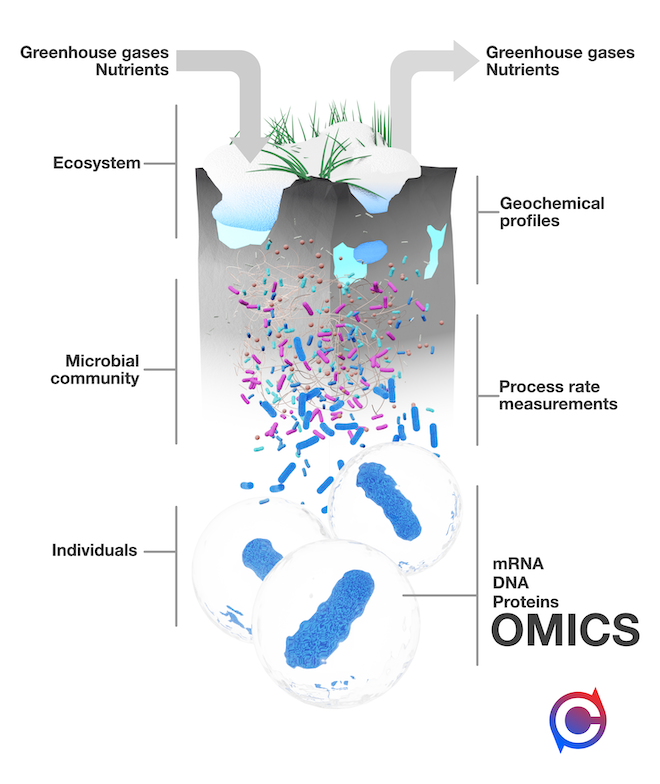 microbial processes, scales and research approaches