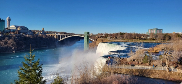 Picture of the university campus in Rochester