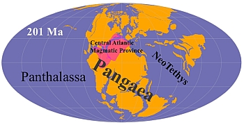 Pangea with the The Central Atlantic Magmatic Province in red. Illustration: Research team/CEED