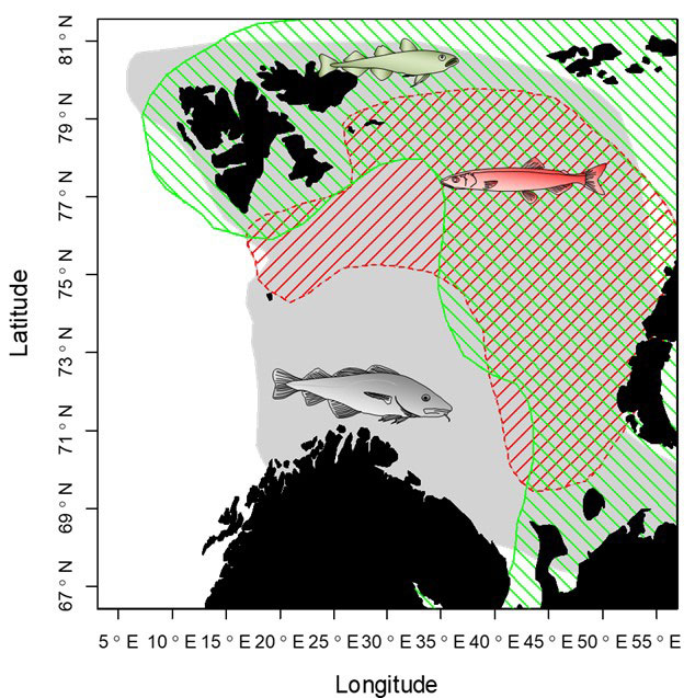 maps of the Barents Sea with distribution of the three speces showing overlap in the northern part.