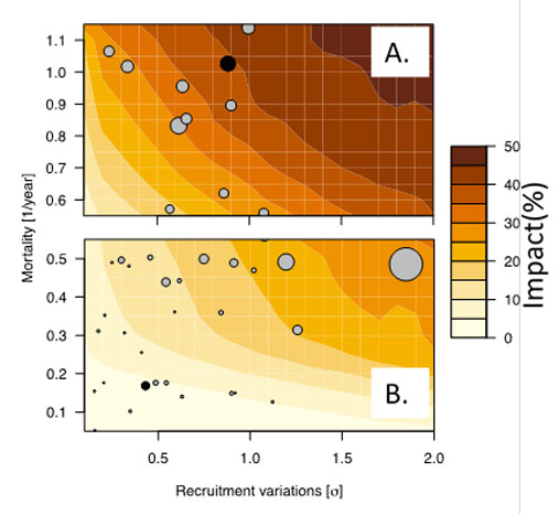 Mass mortality in the early life of fish - CEES - Centre for Ecological ...