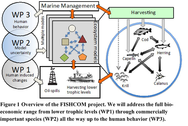 figure showing overview of the fishcom project workpackages