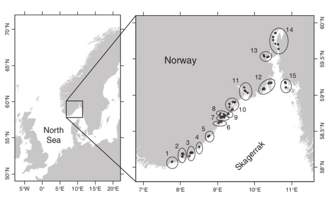 Map showing main study area with sample stations
