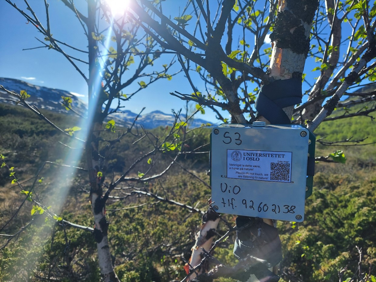 A recording unit in the mountains