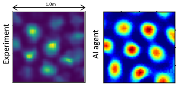 Picture illustrating grid cells observed in mouse and in a recurrent neural network, both trained on a navigation task.