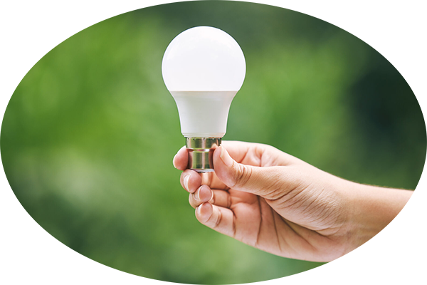 Hand holding a lightbulb against a green background