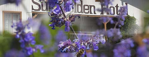 Picture of Sundvolden hotel