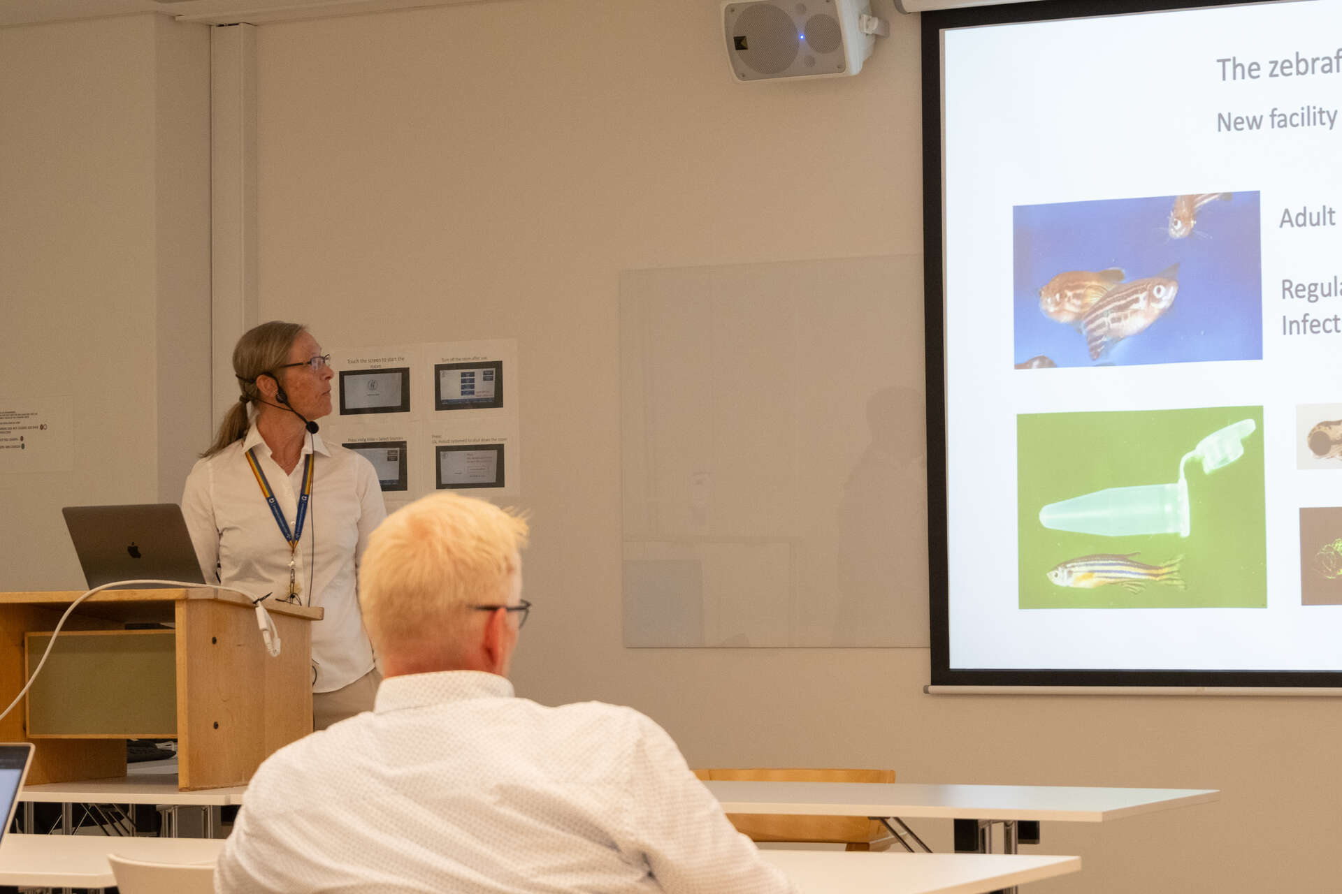 Bildet kan inneholde: elektronisk enhet, møbler, presentasjon, teknologi, skjermenhet.