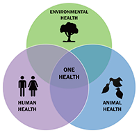 One health: environmental health, human health, animal health