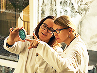 To forskere som studerer en petriskål
