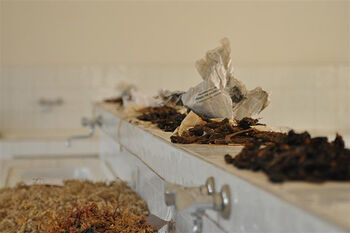 Wood ,Twig ,Soil ,Event.