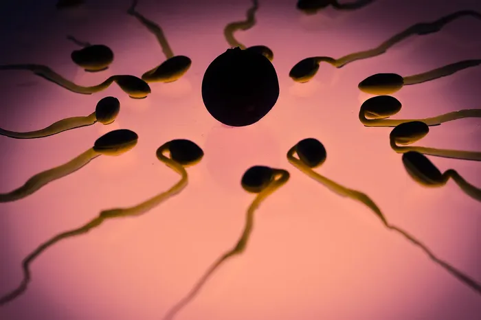 Illustrasjon av sædceller som flokkar seg rundt ei eggcelle