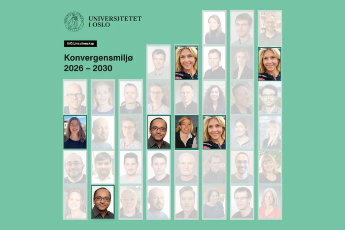 Fotomontasje av forskerne som er involvert i de nye konvergensmiljøene