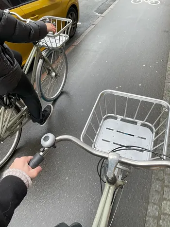sykkel ,hjul ,dekk ,fotografi ,sykkelhjul.