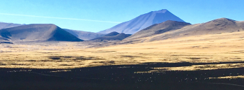 The Payunia volcanic field, at Pampas Negras. Photo: Olivier Galland/UiO