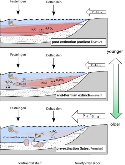 Conceptual model showing how the conditions in water-column evolve through time.