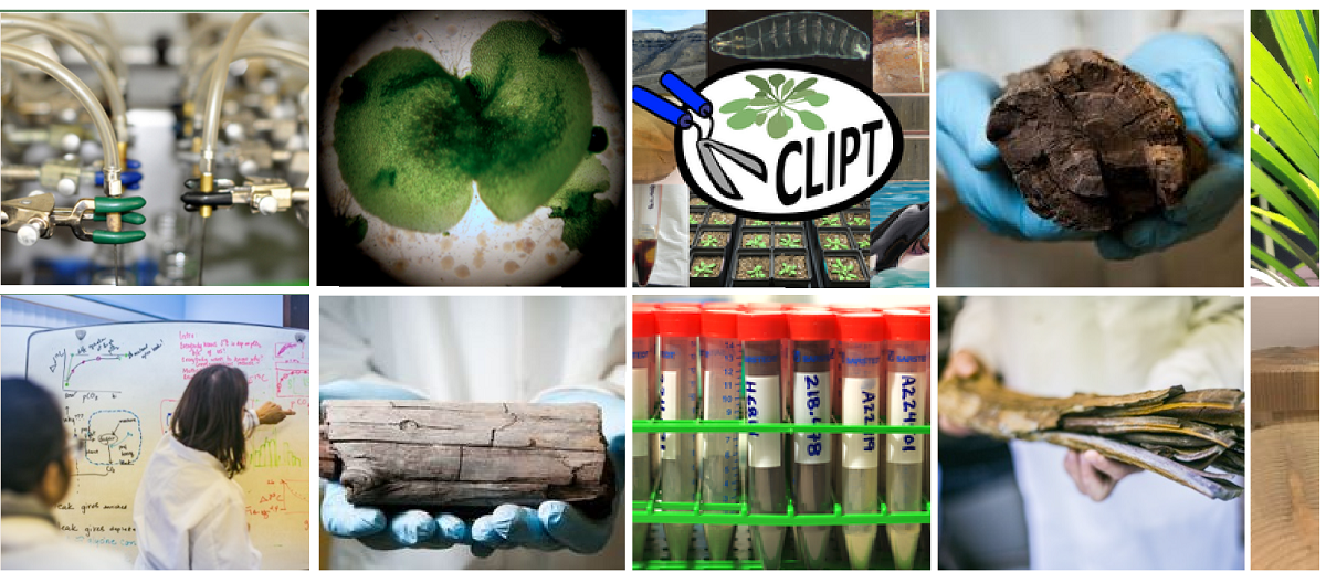 Photo: CLIPT-lab: Some glimpses into the laboratory work and samples that they examine. Photos/collage: CLIPT / GKT
