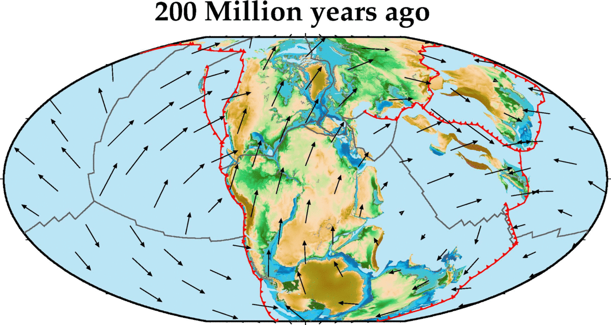Simulation model of the changes of plate tectonics in geological time.
