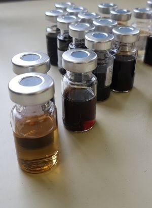 Samples of petroleum extracts which have been analysed in the Organic Geochemistry Lab. Chemical analyses can reveal information about the source, maturity and age of the organic matter. Photo: Gunn Kristin Tjoflot, UiO