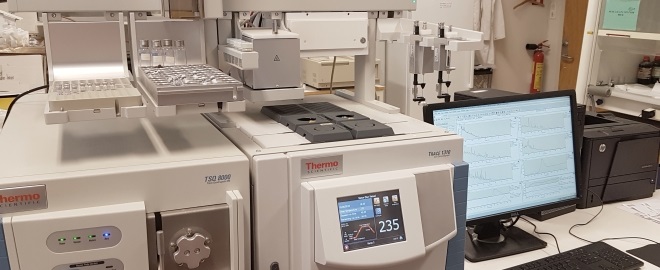 The Thermo TSQ 8000 (gas chromatograph - triple quadrupole mass spectrometer) is the main instrument in the lab, and provides sensitive analyses for example of biomarkers in petroleum. Photo: Gunn K Tjoflot, UiO