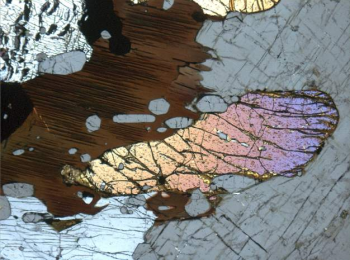 A micrograph of a thin section from the Workshop/Lab at Department of Geosciences, UiO.