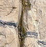 Reactive fluid migration in stressed rocks