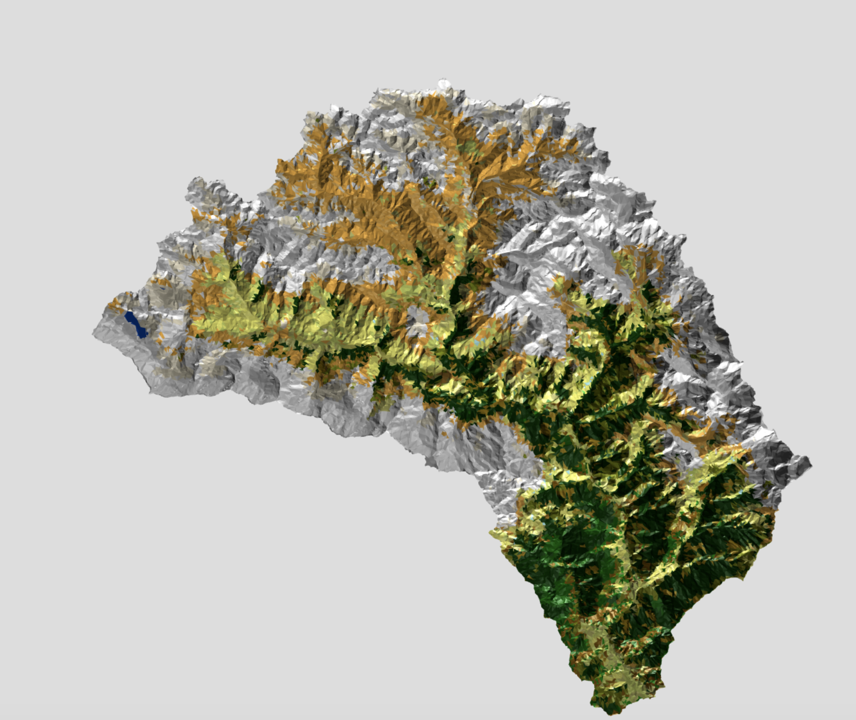 Fine Mesh for the Langtang catchment in Nepal, generated with the newly developed tools.