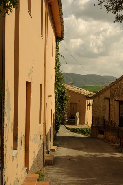 coldigioco