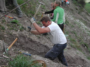 Plant ,Groundcover ,Slope ,Soil ,Wood.