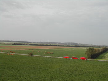 Sky ,Cloud ,Plant ,Natural landscape ,Land lot.