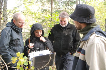 Plant ,Leaf ,Tree ,Jacket ,Hat.