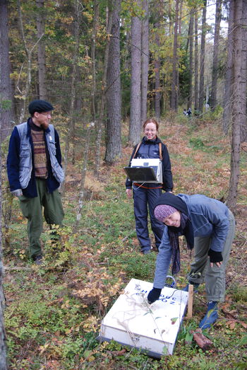 Plant ,Plant community ,People in nature ,Tree ,Natural landscape.