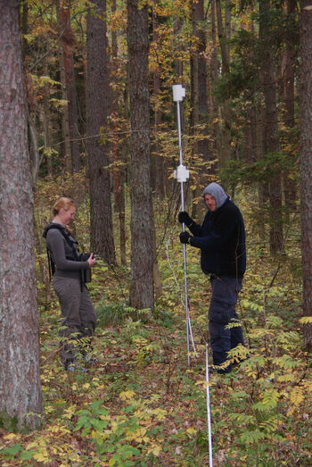 Plant ,People in nature ,Natural environment ,Branch ,Tree.