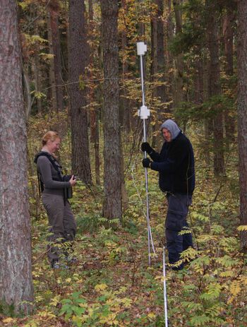 Plant ,People in nature ,Natural environment ,Branch ,Tree.