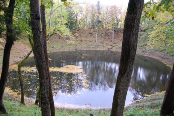 Water ,Plant ,Natural landscape ,Tree ,Branch.