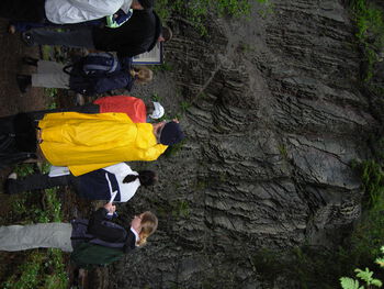 Plant ,People in nature ,Grass ,Bedrock ,Groundcover.